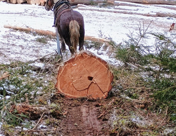 Poptávka práce pro komplexní četu 