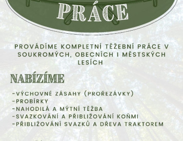Nabízím těžební práce 
