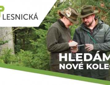 Hajný / Zástupce vedoucího polesí Nejdek