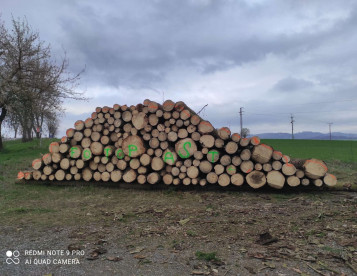 prodej kulatiny SM 4m