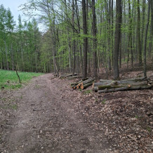 Hledám vyvážečku