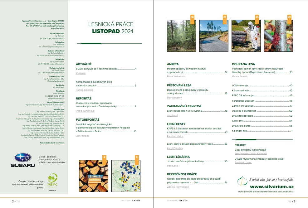 OBSAH AKTUÁLNÍHO ČÍSLA: Image