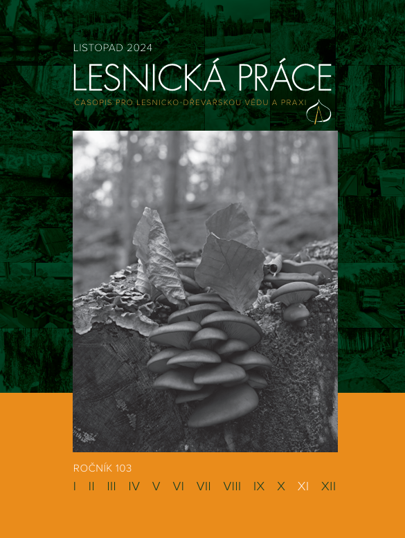 LESNICKÁ PRÁCE - LISTOPAD 2024 Image