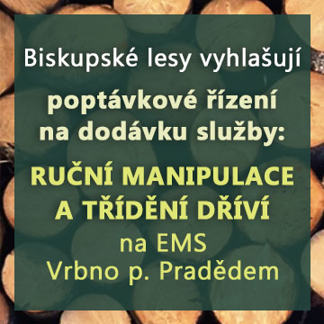 Biskupské lesy - poptávkové řízení na služby