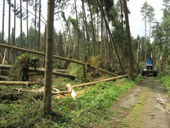 Peroutka_10_oblka_Silv